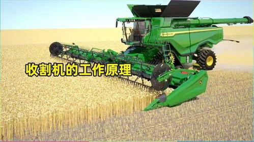 国产辣椒收割机工作视频,革新农业收割新篇章