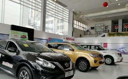 国产车起名吐槽视频合集 第3张 国产车起名吐槽视频合集 第3张