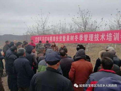 国产精品乡焦视频,精品再现——国产焦视频温情回顾 第2张 国产精品乡焦视频,精品再现——国产焦视频温情回顾 第2张