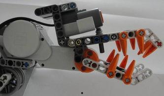 国产机器鳄鱼视频,创新科技引领未来智能机械新篇章