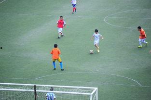 小学生足球整蛊视频国产,国产生动画风小学生足球整蛊视频