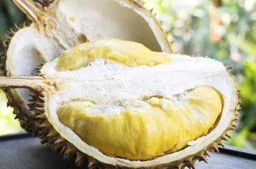 国产榴莲 现状图片视频,本土种植新宠，视觉盛宴下的甜蜜革命