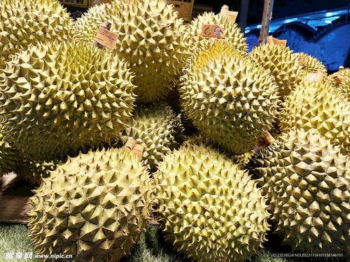 国产榴莲 现状图片视频,本土种植新宠，视觉盛宴下的甜蜜革命