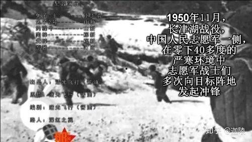 国产野外理论片免费视频,国产野外理论片免费视频大揭秘