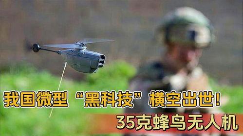 国产蜂鸟无人机仿真视频,揭秘空中猎手的卓越性能与未来潜力