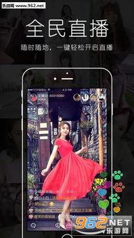 乱夜秀场国产视频下载,揭秘国产视频下载背后的秘密 第2张 乱夜秀场国产视频下载,揭秘国产视频下载背后的秘密 第2张