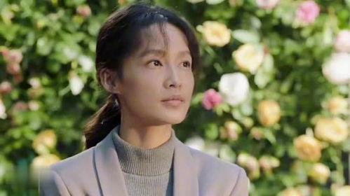 人生励志视频国产剧推荐,盘点那些激励人心的国产励志剧