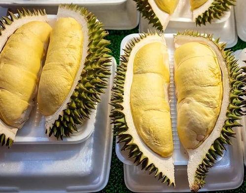 榴莲视频全部国产