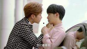 国产有机基zz视频,探索绿色科技的魅力